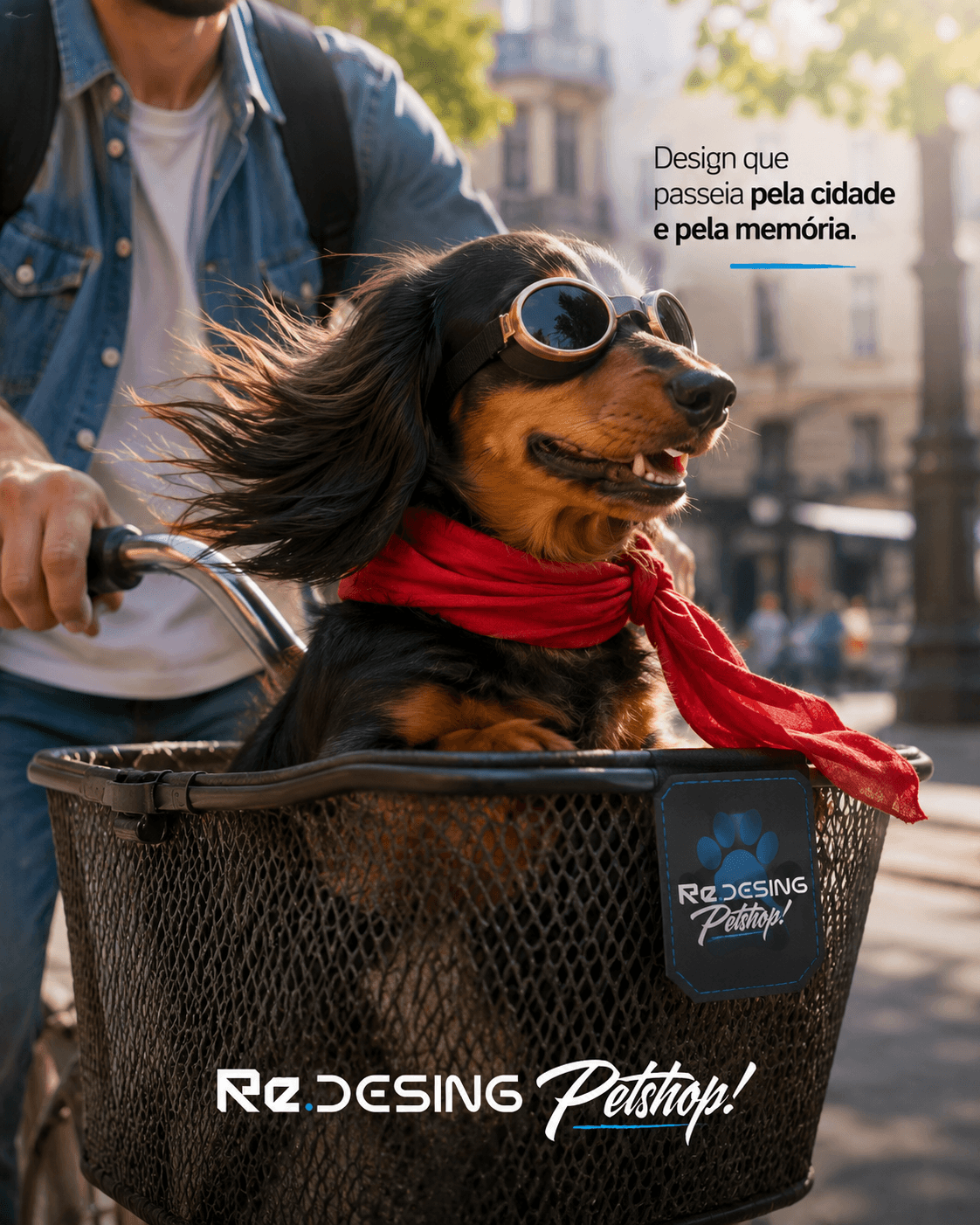 Materiais de Divulgação
